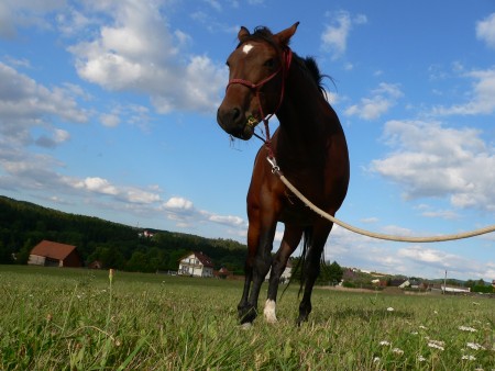 zajímavá fotografie