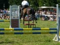 /album/moje-vylety-za-jinymi-koniky/p1040149-jpg/